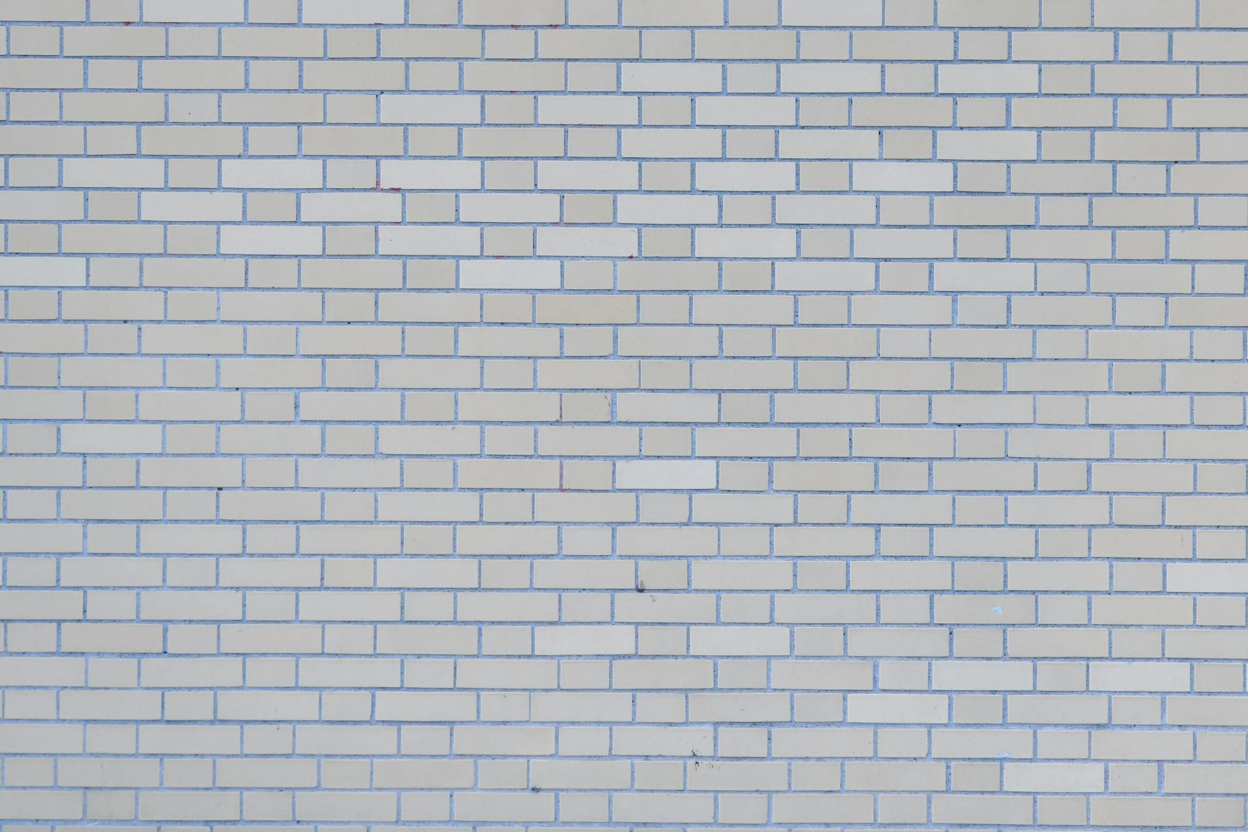 Freelancers: How to Build a Solid Reputation That Wins Clients