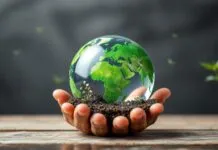 The Impact of Environmental Awareness on Modern Education The Impact of Environmental Awareness on Contemporary Education