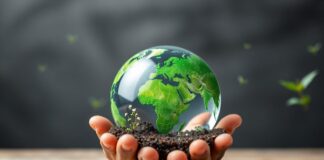 The Impact of Environmental Awareness on Modern Education The Impact of Environmental Awareness on Contemporary Education