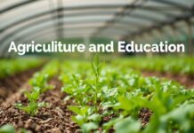 The Intersection of Agriculture and Education: Cultivating Knowledge and Crops The Intersection of Agriculture and Education: Nurturing Knowledge and Crops