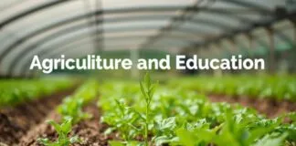 The Intersection of Agriculture and Education: Cultivating Knowledge and Crops The Intersection of Agriculture and Education: Nurturing Knowledge and Crops